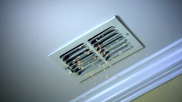 Best Air Duct Cleaning Near Me  in Sunman, IN