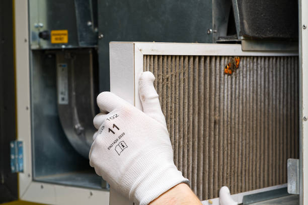 Best Professional Duct Cleaning Services  in Sunman, IN